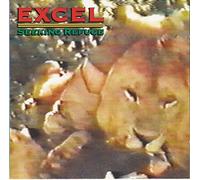 Seeking Refuge by Excel