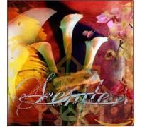 Seemless - What We Have Become