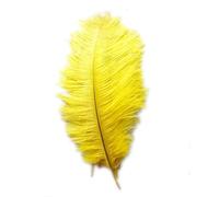 Sefdrert Nouveau Style Reel Naturel 10-12 Pouces Plumes d'autruche Grandes Decorations d'or