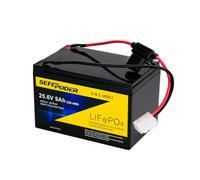 SEFEPODER Batterie de rechange compatible pour scooter Razor 24 V | Lifepo4 Batterie lithium-ion rechargeable pour Razor Pocket Mod, E300, E325 et autres scooters 24 V 9 Ah