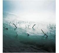 Sefton - Stranded in Passion