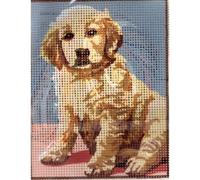 SEG de Paris Kit Canevas Chiot Golden Retriever 14 x 18 cm Pénélope Blanc Petits Trous
