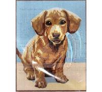 SEG de Paris Kit Canevas Chiot Teckel 14 x 18 cm Pénélope Blanc Petits Trous