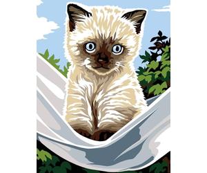 SEG de Paris Kit Canevas complet Le Petit chat siamois 14 x 18 cm