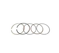 Segment de piston de moto, alésage de 69 mm, axe de piston de 17 mm, adapté for ATV250 ZS250 CB250 CBB250 M7 R8RTF(Only ring)