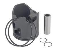 Segment de Piston de Moto de 71,95 mm Compatible avec Les modèles Te TC WR MXC SXF XC-E XCW EC Mr 300 Xtrainer 300 EC300 MR300, Convient à Divers Moteurs 2 Temps