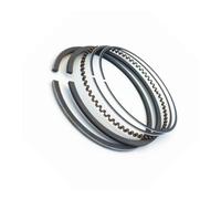 Segment de Piston EX17 Compatible avec EX17 et EX21 (67 mm)