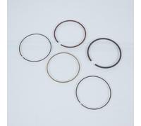 Segment De Piston Prox Pour Moto Ktm 620 Lc4 Supermoto 1999 À 2006 Ø101mm Neuf