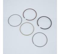 Segment De Piston Prox Pour Moto Ktm 640 Lc4 Adventure 1999 À 2006 Ø101mm Neuf