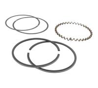 Segment KOHLER 235287
