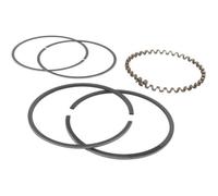 Segment KOHLER 235889