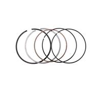 Segments de Piston 73 mm, 73,25 mm, 73,5 mm, 73,75 mm, 74 mm, STD ~ +100 0,25 0,5, adaptés aux modèles Ya TTR250 L/M/N/P/R/S/T/V 1999-2006 TTR250 LC/MC/NC/PC(0.25 Size)