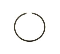 Segments P2R 51,41 CLUB,MAGNUM RACING,PASSION 39,00 x 1mm IDEM BIDALOT