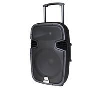 Segon Runner 15 Enceinte amplifiée 130W avec double micro UHF, Bluetooth, USB/SD, MP3 et tuner FM.