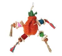 Segrehy Jouets à mâcher pour perroquets colorés, résistants aux morsures, à Suspendre en Toute sécurité, luffa, épis de maïs, Jouet pour Oiseaux, inséparables, calopsittes, perroquets,