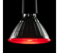 Segula Bright Ampoule LED PAR38 E27 18 W, 50764, PAR38