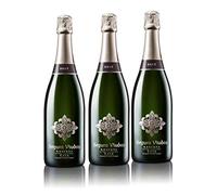 Segura viudas brut Réserve Premium Cava (3 x 0,75 L)