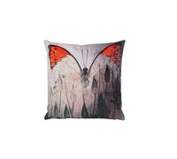 Sehlbach Coussin Papillon, Orange, 45 x 45 cm Coussin, Housse détachable, Matière Douce, Design ludique, Note élégante, Atmosphère accueillante