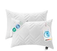 Sei Design Pack de 2 oreillers Classic Dream“, Microfibre 40 x 60 cm, Blanc, matelassé