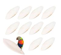 Seiche pour oiseaux - Support de calcium, lot de 10 blocs squelettiques pour cages de volière, dalle minérale naturelle avec clips de montage, fournitures pour animaux de compagnie, jouet en os