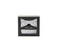SEIDENFALTER Set nœud papillon et pochette de costume beige