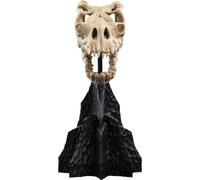 Seigneur des Anneaux Mini Statue Crâne d'une Bête à poils 21 cm