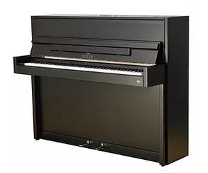 Seiler Seiler 116 Ritmo Modern black