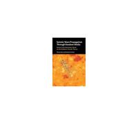 Seismic Wave Propagation Through Random Media