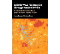Seismic Wave Propagation Through Random Media: Monte Carlo Simulation Based on the Radiative Transfer Theory