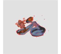 Seismo Vinyle