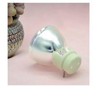 SeiZed Projecteur Ampoule Lampe for BENQ W1070 W1070 + W1080 W1080ST HT1085ST HT1075 W1300 P-VIP 240/0.8 E20.9n 5J.J7L05.001