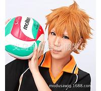SEIZIS Cosplay Wig Cosplay Perruque Cheveux Courts Volley-Ball Adolescent Jour à Xiangyang Anime Navire Original