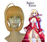 SEIZIS Cosplay Wig Destiny Night Artolia.Pandragon Cosplay Faux Anime COS Pseudo Package Démolition