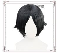 SEIZIS Cosplay Wig période Bleue période Bleue YU Hashida Takahashi Setansuke cos Perruque