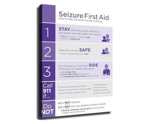 Seizure Response Poster First Aid Guide for Epilepsy Emergency Workplace Safety Procedures Home(Unframed,12x18inch(30x45cm))