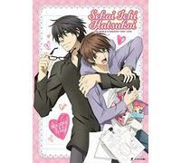 Sekai Ichi Hatsukoi – World's Greatest First Love : Saisons 1 et 2 – DVD – Crunchyroll