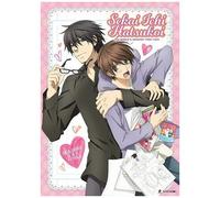 Sekai Ichi Hatsukoi - World's Greatest First Love: Seasons One And Two [Dvd]