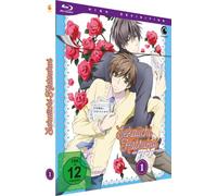 Sekaiichi Hatsukoi - The World's Greatest First Love - Vol. 1 [Blu-ray]