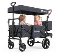 Sekey Chariot pliant pour jardin et camping, Noir, avec toit, roues XXL 24/20 cm