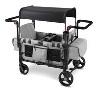 Sekey Chariot pour enfants mode double, Gris