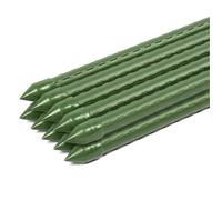 Sekey Lot de 10 Tuteurs Plantes 75 cm - Tiges de Support pour Tomates et Plantes Grimpantes