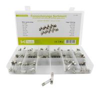 SeKi 160 fusibles fins 6 x 30 assortis, 160 pièces, 16 types, 8 fusibles rapides + 8 fusibles temporisés 0,8 A, 1,25 A, 1,6 A, 2 A, 2,5 A, 3,15 A, 4 A et 6,3 A ; fusible tubulaire en verre