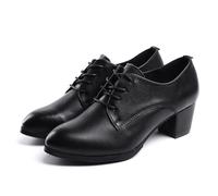 sekiueo Chaussures Danse Femmes Chaussures de Bal Latines Et Modernes À Bout Pointu Et Petit Talon Compensé À Lacets pour Une Soirée de Mariage,Noir,39 EU