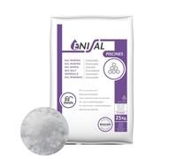 Sel granules special piscine sac 25kg -