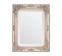 Select Mirrors Miroir Rhône - Vintage français, Style Baroque Antique - 42 cm x 53 cm - Décoration d'intérieur Chic (Champagne Antique)