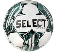 Select Numero 10 FIFA Basic Ball Numero WHT-GRE, Womens,Mens Footballs, White, 5 EU