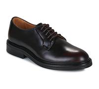 Selected Derbies SLHCARTER LEATHER BLUCHER in Marron 44