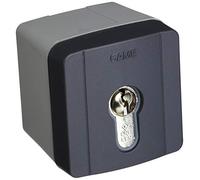 CAME Sélecteur à clé d'extérieur 806SL-0050