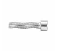 SELECTION P2R (Motorisé) Vis CHC 6 pans Creux m10 x 30 mm Chrome (Sachet de 10 Pieces)