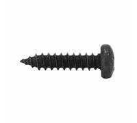 SELECTION P2R (Motorisé) Vis Parker Tete Ronde 5,0 x 40 mm Noir (Sachet de 10 Pieces)